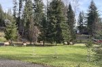Elk frequent the area looking out from the downstairs bedroom